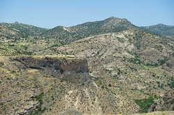 _DSC5495.jpg _DSC5495.jpg