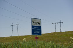 _DSC5501.jpg _DSC5501.jpg