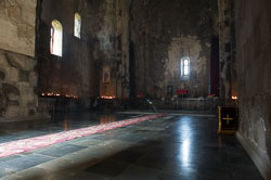 _DSC5565.jpg _DSC5565.jpg