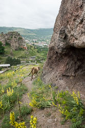 _DSC5724.jpg _DSC5724.jpg