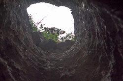 _DSC5726.jpg _DSC5726.jpg