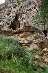 _DSC5803.jpg _DSC5803.jpg