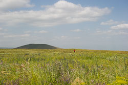 _DSC5822.jpg _DSC5822.jpg