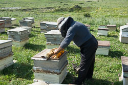 Wanderimker _DSC5858.jpg