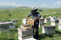 Wanderimker _DSC5859.jpg