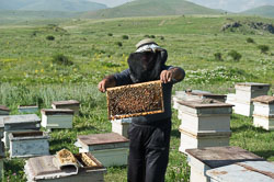 Wanderimker _DSC5867.jpg