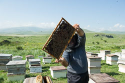 Wanderimker _DSC5873.jpg