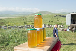 Wanderimker _DSC5888.jpg