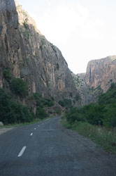 _DSC5911.jpg _DSC5911.jpg