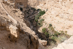 Israel Israel