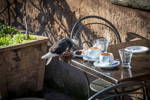 2024-01-02_11-15-06__Z728417-Verbessert-RR_Exed-0438.jpg 2024-01-02_11-15-06__Z728417-Verbessert-RR_Exed-0438.jpg