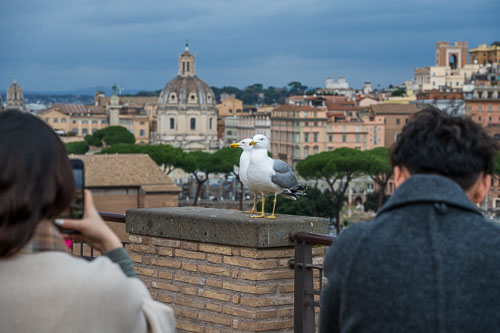 Italien Italien