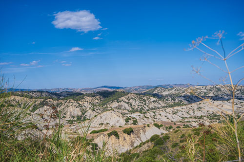 Calanchi 2025-09-08_15-50-35__Z720912_Ext-2781.jpg