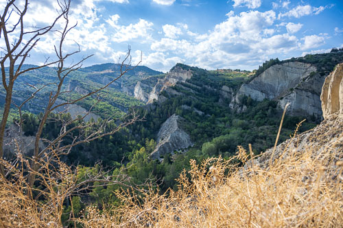 2025-09-08_16-03-50__Z720929_Ext-2782.jpg 2025-09-08_16-03-50__Z720929_Ext-2782.jpg