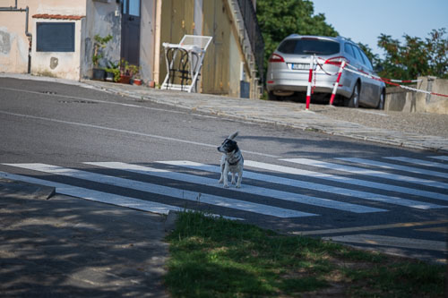 2025-09-08_16-12-33__Z720946.jpg 2025-09-08_16-12-33__Z720946.jpg