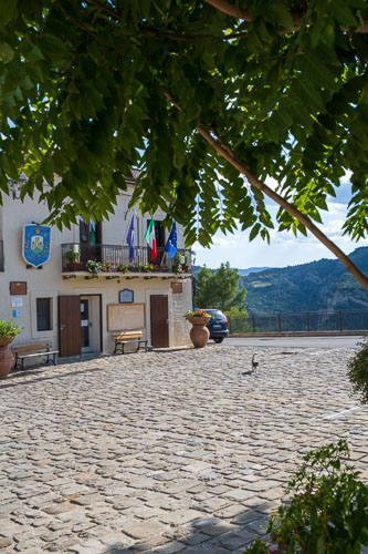 2025-09-08_16-19-52__Z720954.jpg 2025-09-08_16-19-52__Z720954.jpg