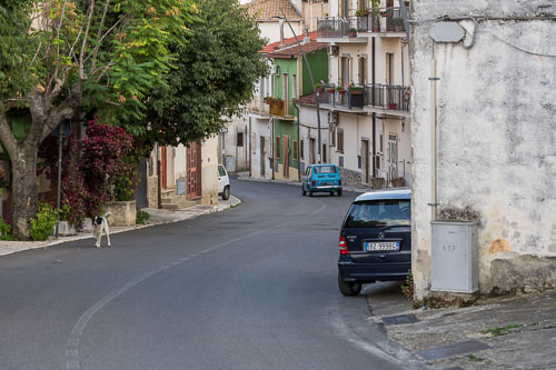 2025-09-08_18-30-33__Z721055_Ext-2794.jpg 2025-09-08_18-30-33__Z721055_Ext-2794.jpg