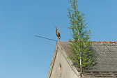 Litauen 2014-08 Litauen 2014-08
