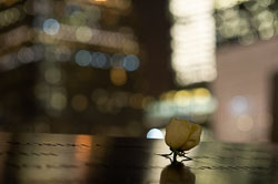 New York City - Impressionen 2019 New York City - Impressionen 2019