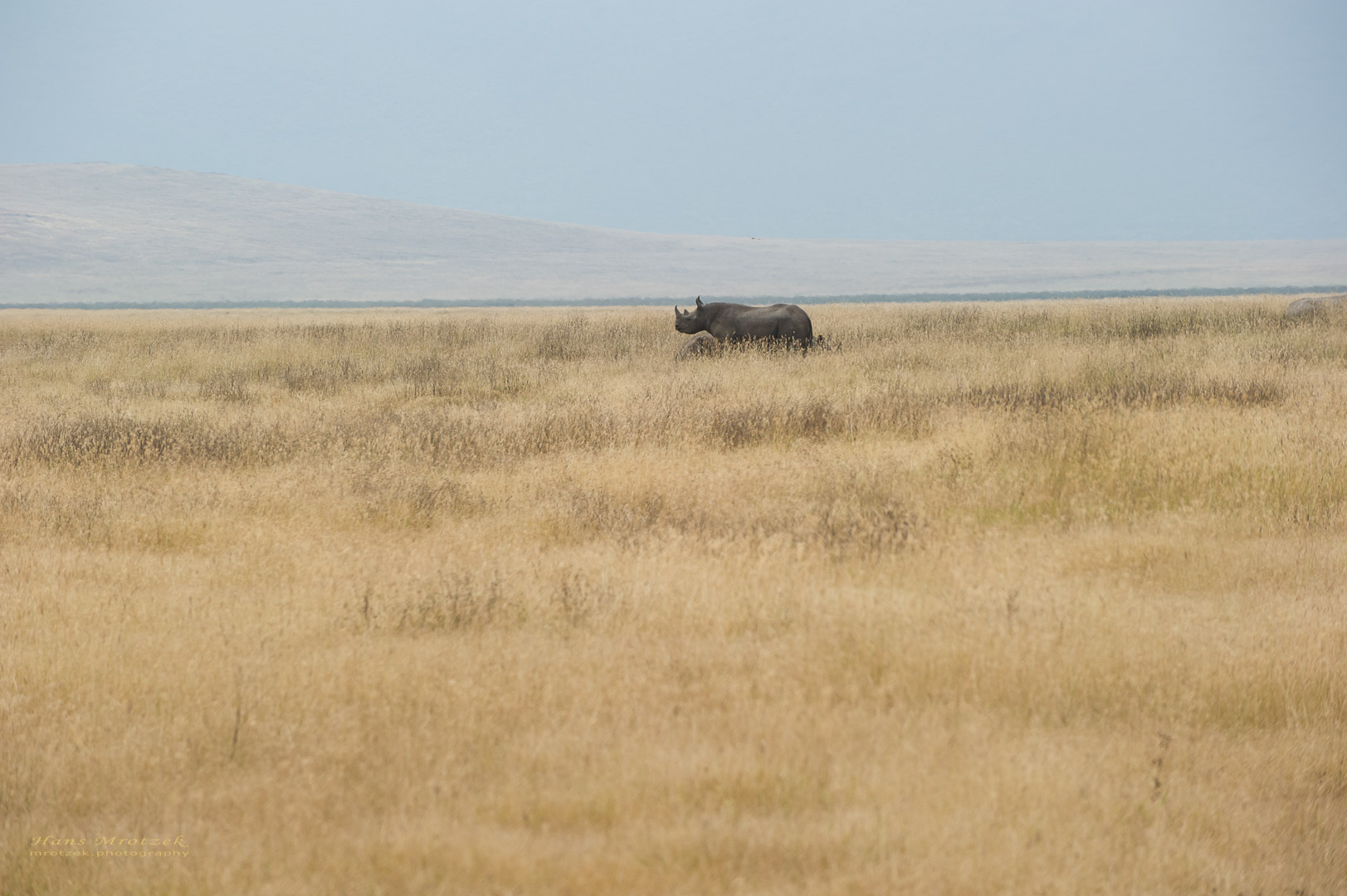 _DSC5284.jpg