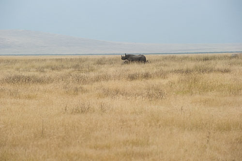 _DSC5284.jpg
