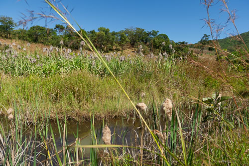 _DSC5022.jpg _DSC5022.jpg