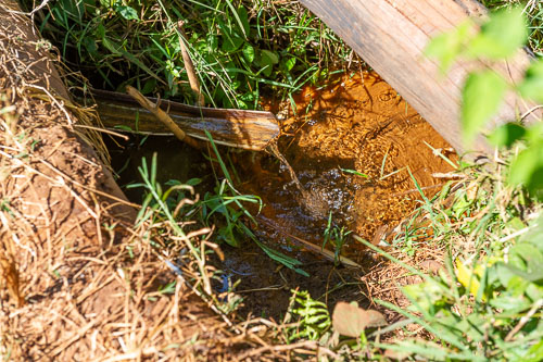 _DSC5025.jpg _DSC5025.jpg