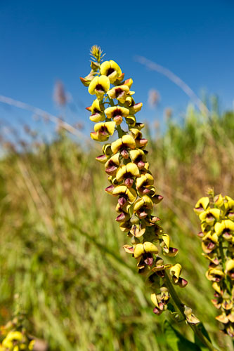 _DSC5029-150605-397-150605-398.jpg _DSC5029-150605-397-150605-398.jpg