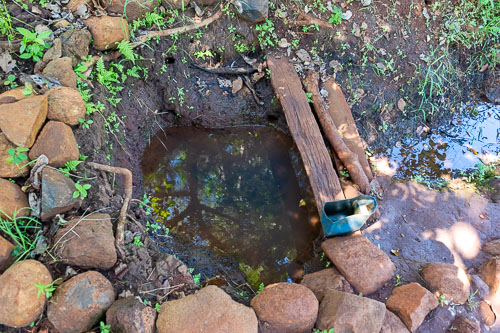 _DSC5034.jpg _DSC5034.jpg