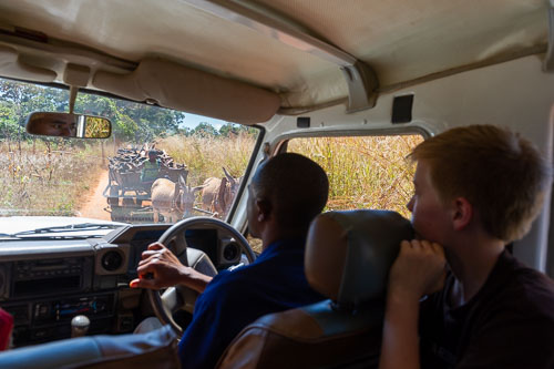 _DSC5052.jpg _DSC5052.jpg