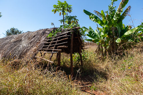 _DSC5053.jpg _DSC5053.jpg