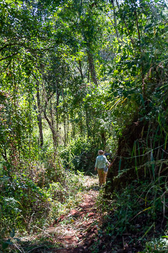 Einstieg in die Hölle _DSC5054.jpg