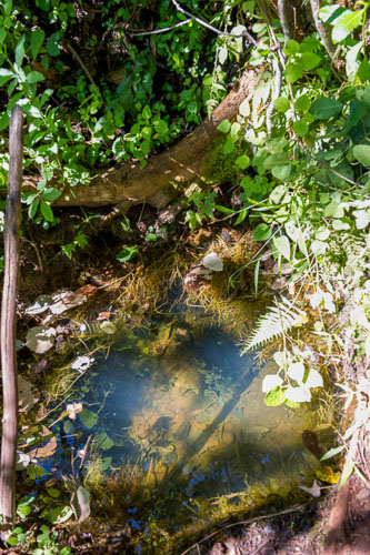 _DSC5056-150605-400-150605-401.jpg _DSC5056-150605-400-150605-401.jpg