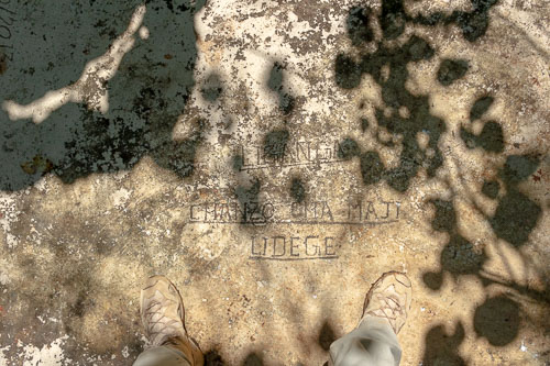 _DSC5059.jpg _DSC5059.jpg