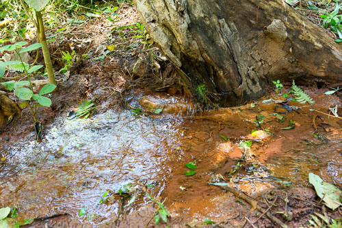 Quelle _DSC5065-150605-402-150605-403.jpg