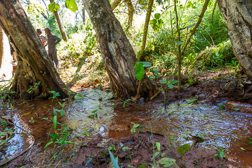 _DSC5066.jpg _DSC5066.jpg