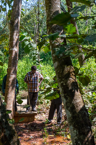 _DSC5067.jpg _DSC5067.jpg