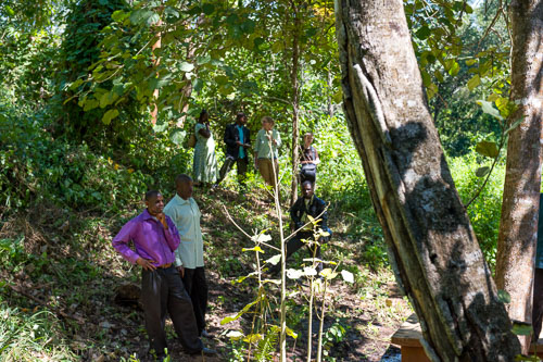 Attack of bees - Ein Bienenschwarm greift an _DSC5068-150605-594.jpg