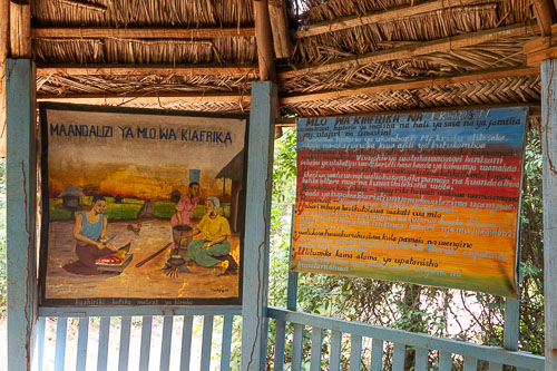 Bible on the Ground _DSC6433.jpg