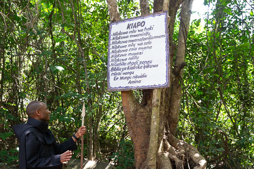 Bible on the Ground _DSC6448.jpg