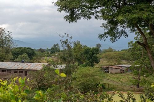 _DSC6512.jpg _DSC6512.jpg