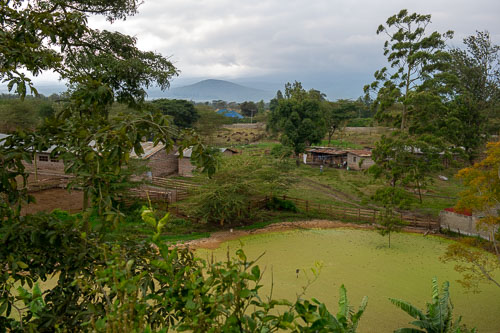 _DSC6514.jpg _DSC6514.jpg