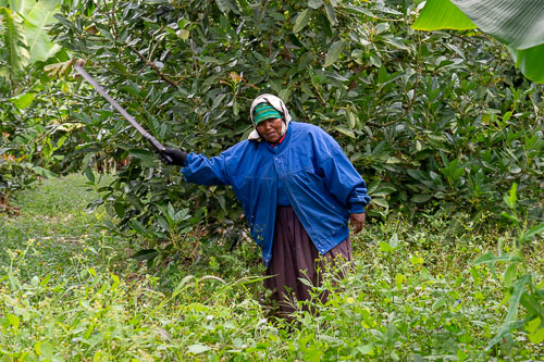 _DSC6562.jpg _DSC6562.jpg