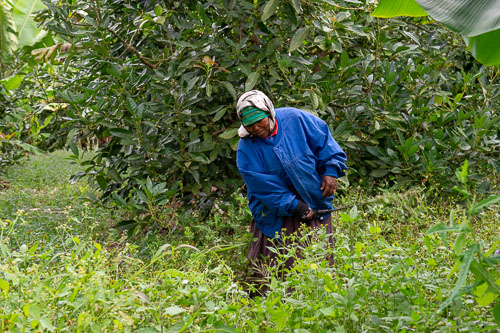 _DSC6563.jpg _DSC6563.jpg