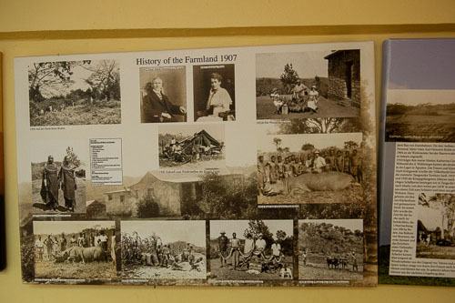 _DSC6574.jpg _DSC6574.jpg