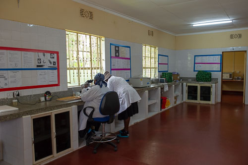 Laborarbeit _DSC6670.jpg