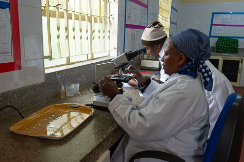 Laborarbeit _DSC6671.jpg