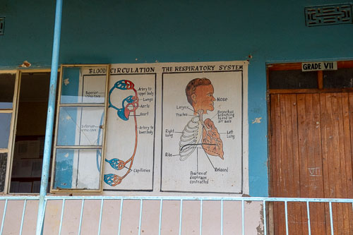 _DSC6772.jpg _DSC6772.jpg