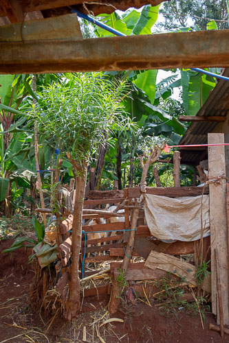 _DSC6822.jpg _DSC6822.jpg