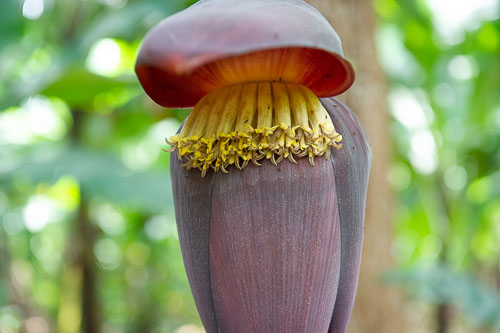 Local Village _DSC6925.jpg